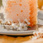 a-close-up-of-a-piece-of-cake-on-a-plate-f8lfgcjdavu