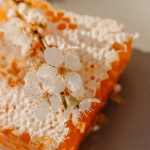 a-piece-of-cake-with-white-flowers-on-it-l-qe-22fssm