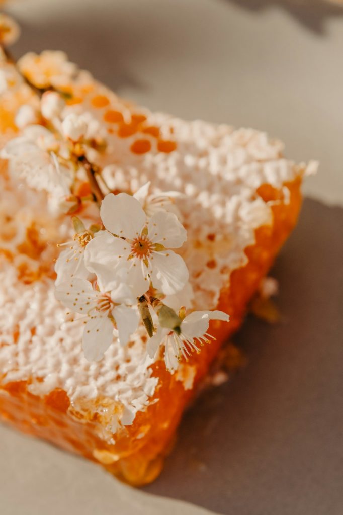 a-piece-of-cake-with-white-flowers-on-it-l-qe-22fssm
