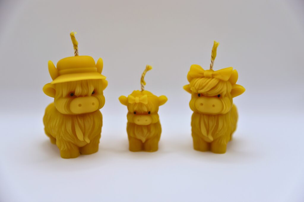 wasserbüffel familie